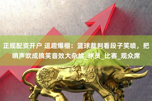 正规配资开户 逗趣爆棚：篮球裁判看段子笑喷，把哨声吹成搞笑音效大杂烩_球员_比赛_观众席