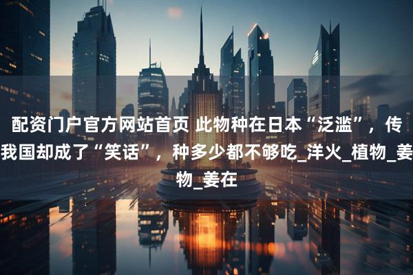 配资门户官方网站首页 此物种在日本“泛滥”，传入我国却成了“笑话”，种多少都不够吃_洋火_植物_姜在