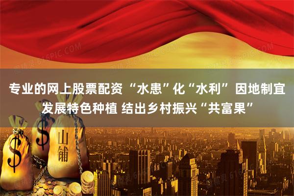 专业的网上股票配资 “水患”化“水利” 因地制宜发展特色种植 结出乡村振兴“共富果”