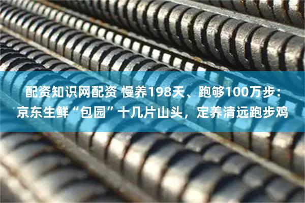 配资知识网配资 慢养198天、跑够100万步：京东生鲜“包园”十几片山头，定养清远跑步鸡